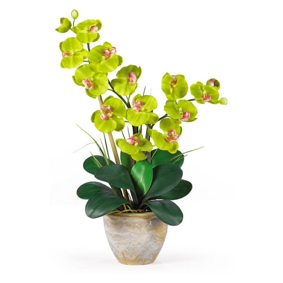 Double Phalaenopsis Silk Orchid Flower Arrangement, Green Double Phalaenopsis Silk Orchid Flower Arrangement, Green